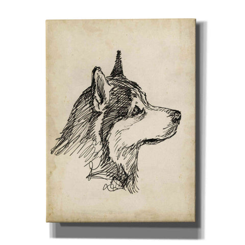 Image of 'Breed Studies X' by Ethan Harper, Canvas Wall Art
