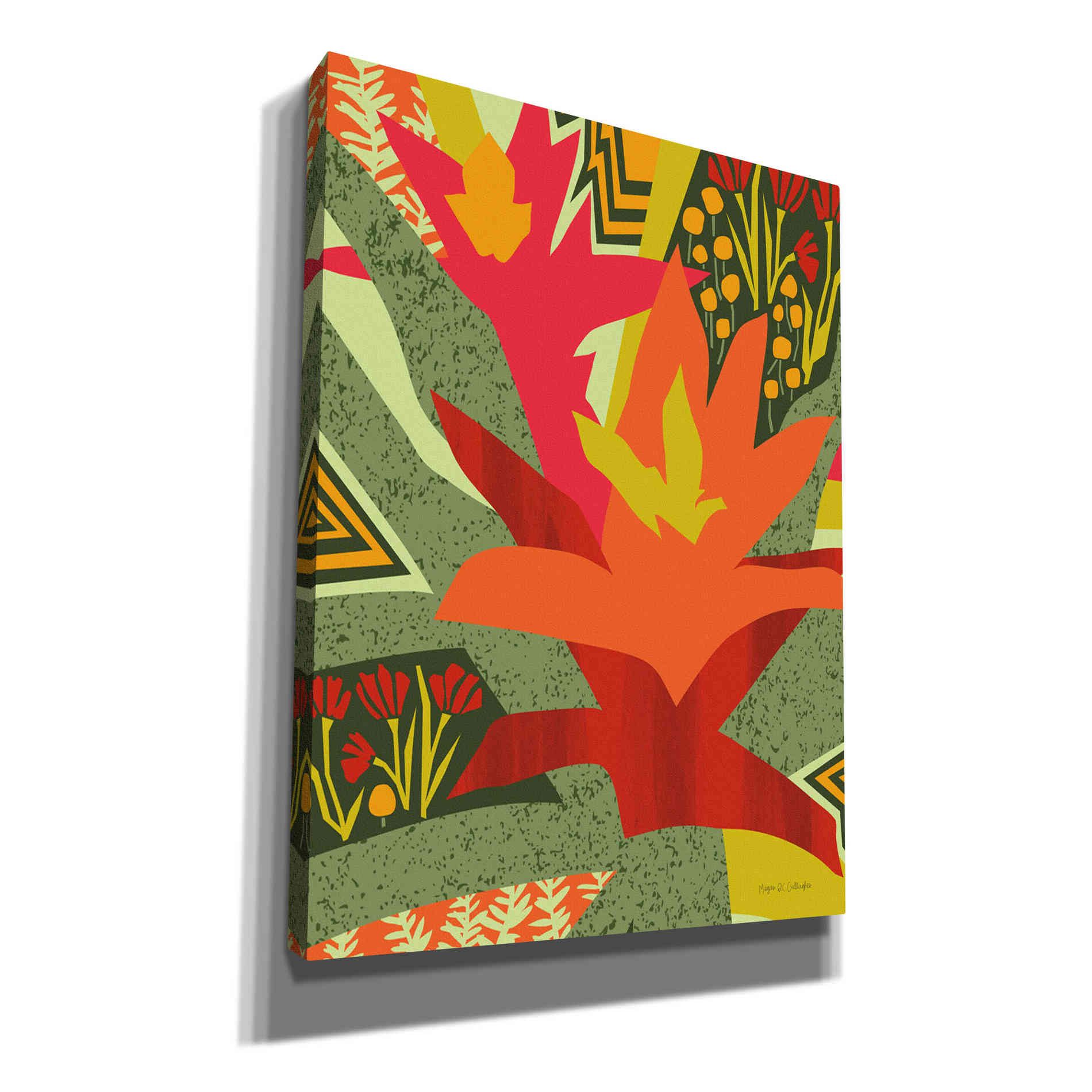 'Bromeliad' by Megan Gallagher, Canvas Wall Art