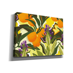 'Citrus Sage I' by Megan Gallagher, Canvas Wall Art