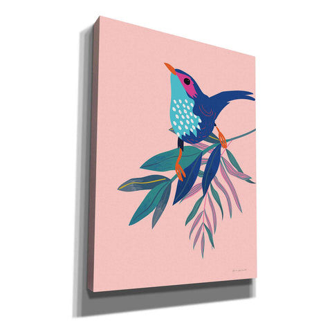 Image of 'Exotic Birds IV' by Omar Escalante, Canvas Wall Art