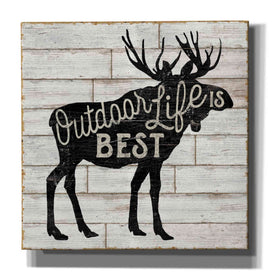 'Lake Lodge I' by Sue Schlabach, Canvas Wall Art