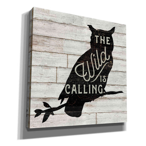 Image of 'Lake Lodge III' by Sue Schlabach, Canvas Wall Art