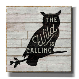 'Lake Lodge III' by Sue Schlabach, Canvas Wall Art