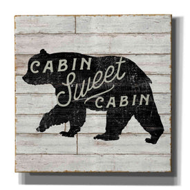 'Lake Lodge IV' by Sue Schlabach, Canvas Wall Art