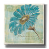 'Spa Daisies II' by Chris Paschke, Canvas Wall Art