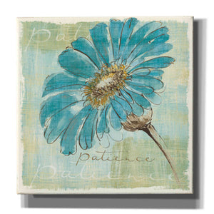 'Spa Daisies II' by Chris Paschke, Canvas Wall Art