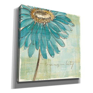 'Spa Daisies III' by Chris Paschke, Canvas Wall Art