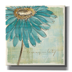 'Spa Daisies III' by Chris Paschke, Canvas Wall Art