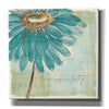 'Spa Daisies III' by Chris Paschke, Canvas Wall Art