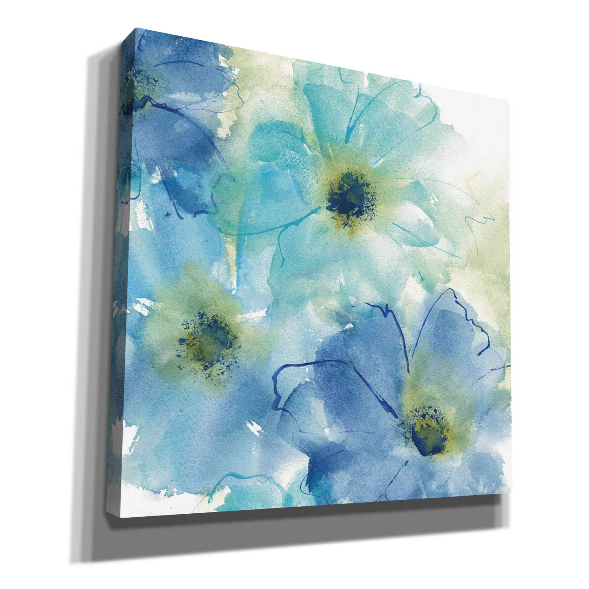 'Seashell Cosmos II White' by Chris Paschke, Canvas Wall Art