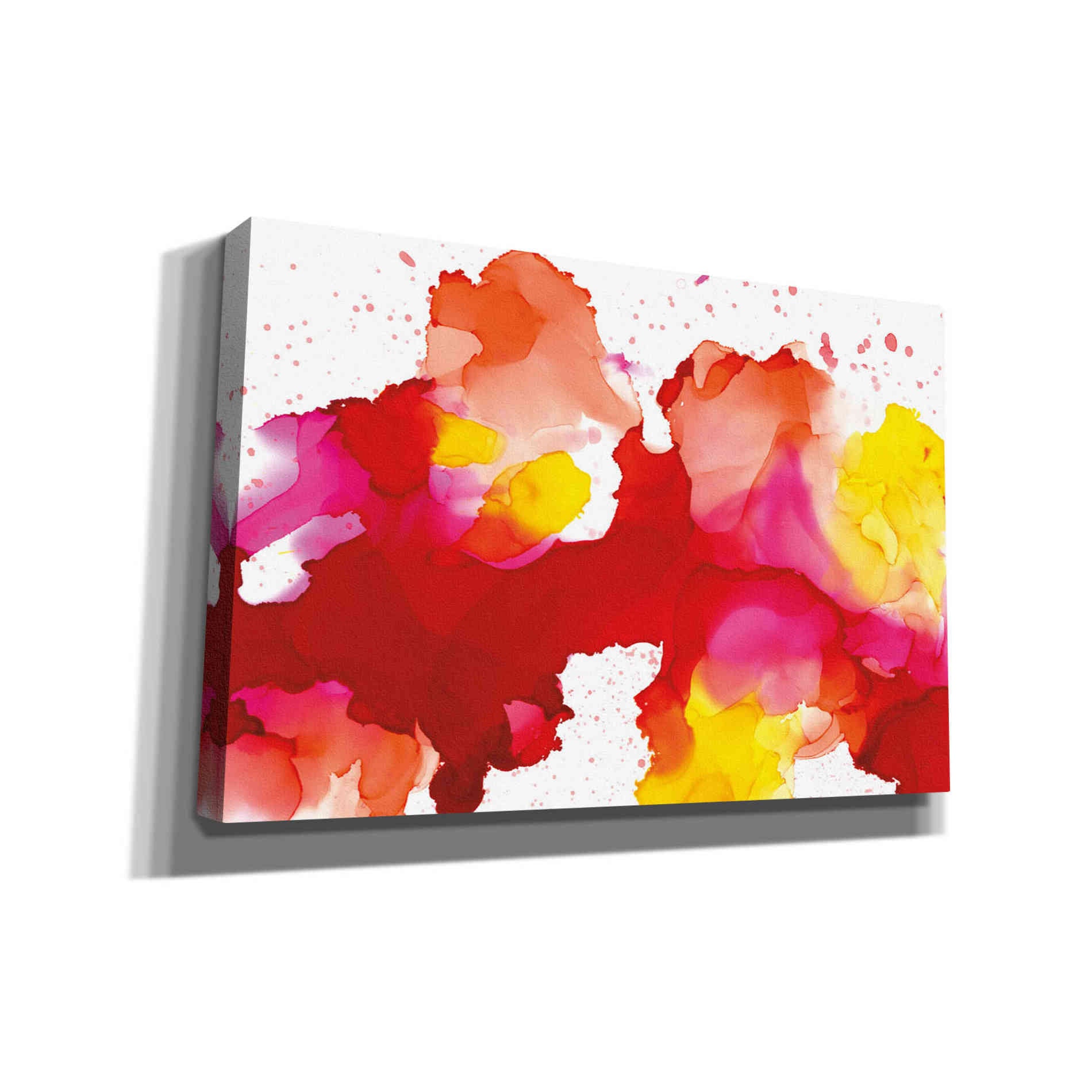 'Spatter' by Chris Paschke, Canvas Wall Art