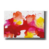 'Spatter' by Chris Paschke, Canvas Wall Art