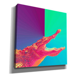 'Alligator Crush,' Canvas Wall Art