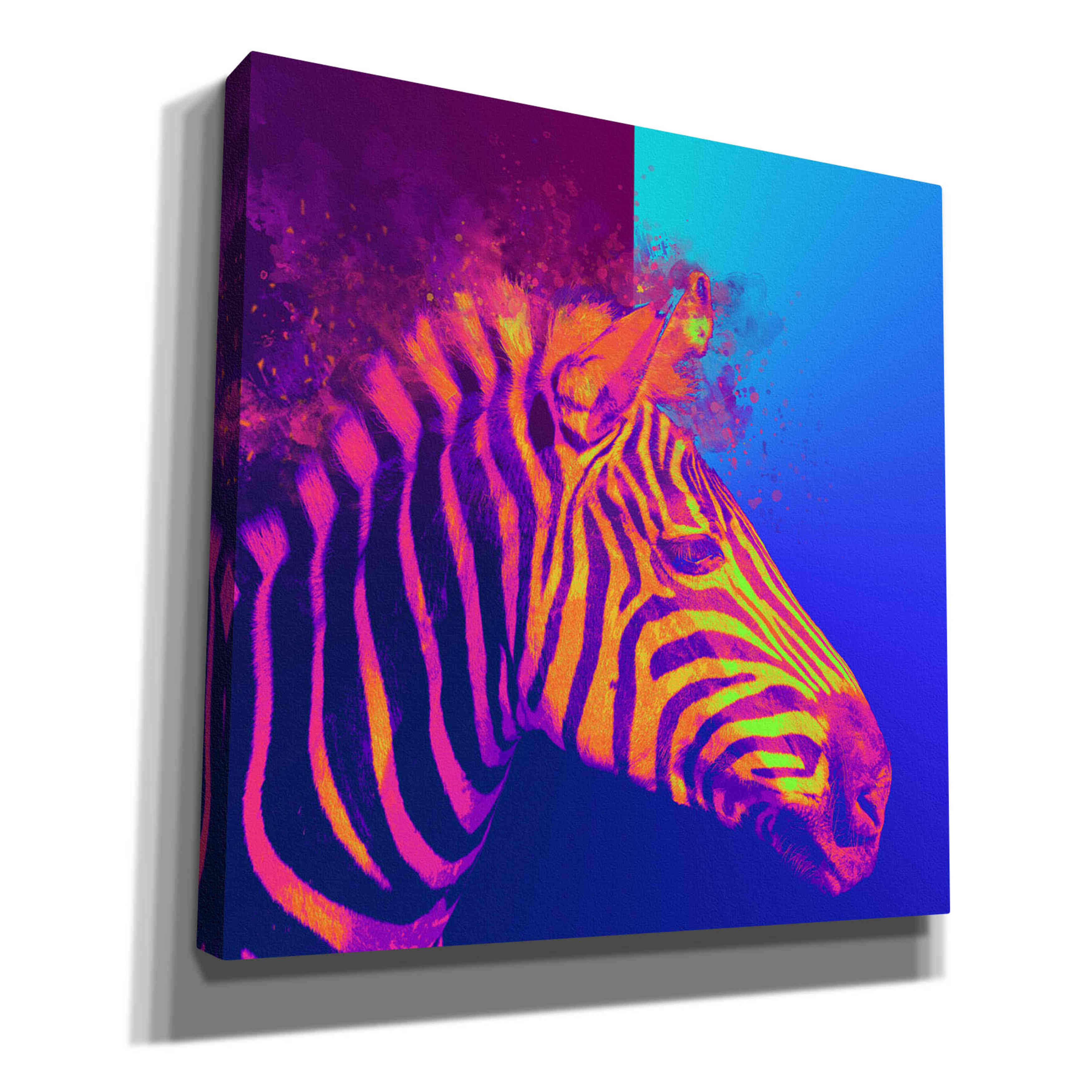'Zebra Crush,' Canvas Wall Art