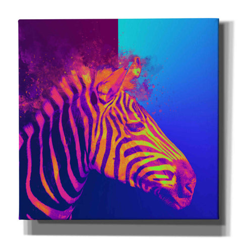 Image of 'Zebra Crush,' Canvas Wall Art