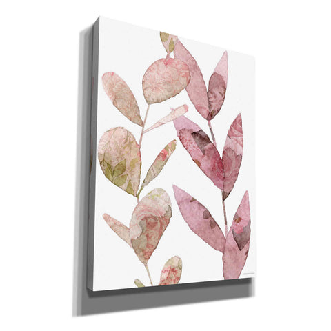 Image of 'Meadow Flora Botanical I' by Bluebird Barn, Canvas Wall Art