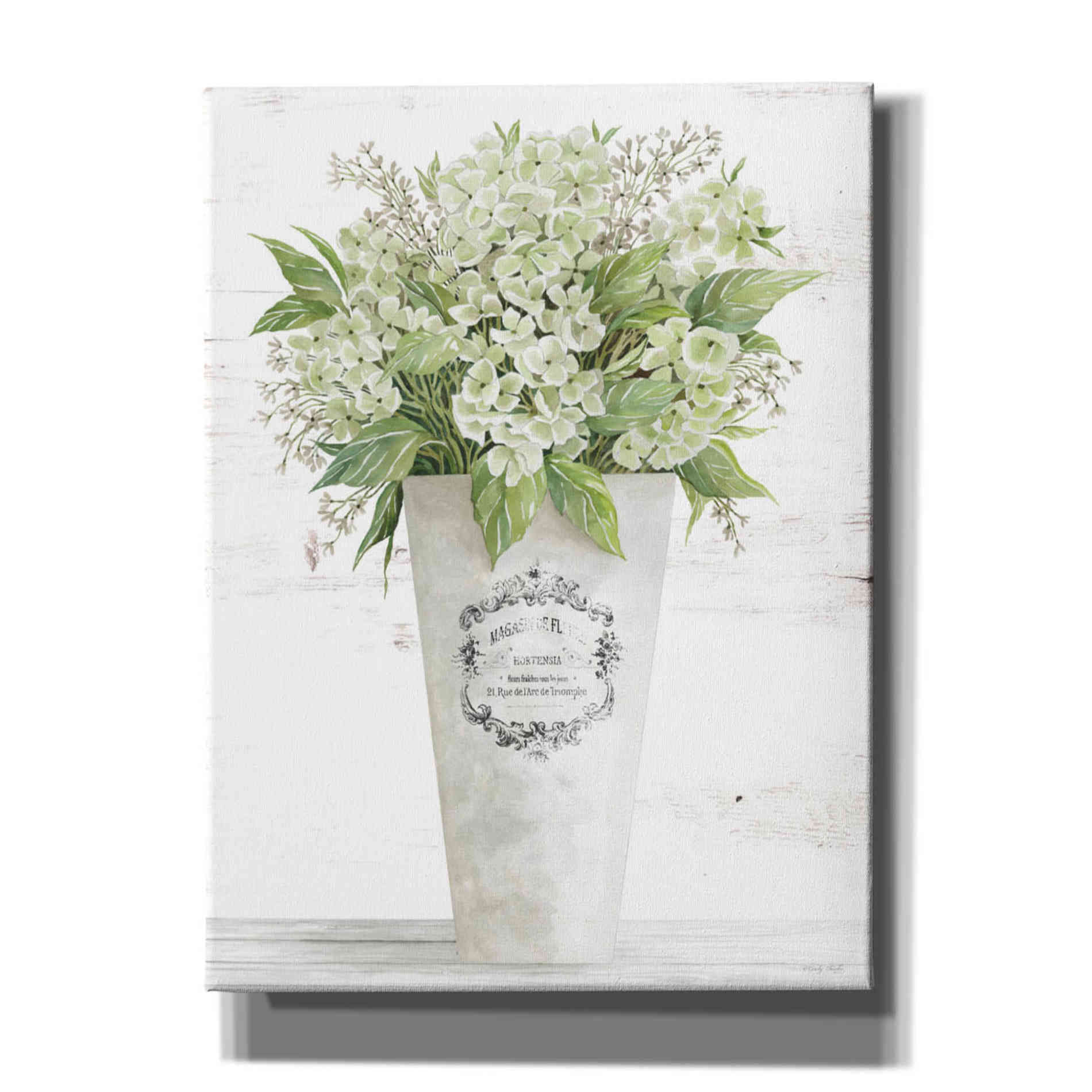 'Les Fleurs Hortensia' by Cindy Jacobs, Canvas Wall Art