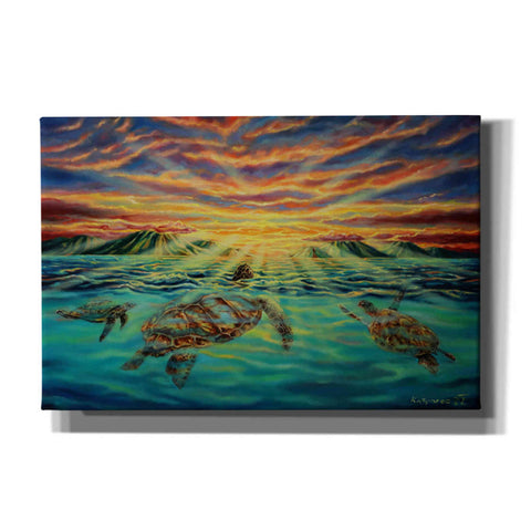 Image of 'Turtle Sunset' by Jan Kasparec, Canvas Wall Art