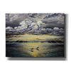 'Freedom' by Jan Kasparec, Canvas Wall Art