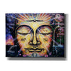 'Buddha Elephant ' by Jan Kasparec, Canvas Wall Art