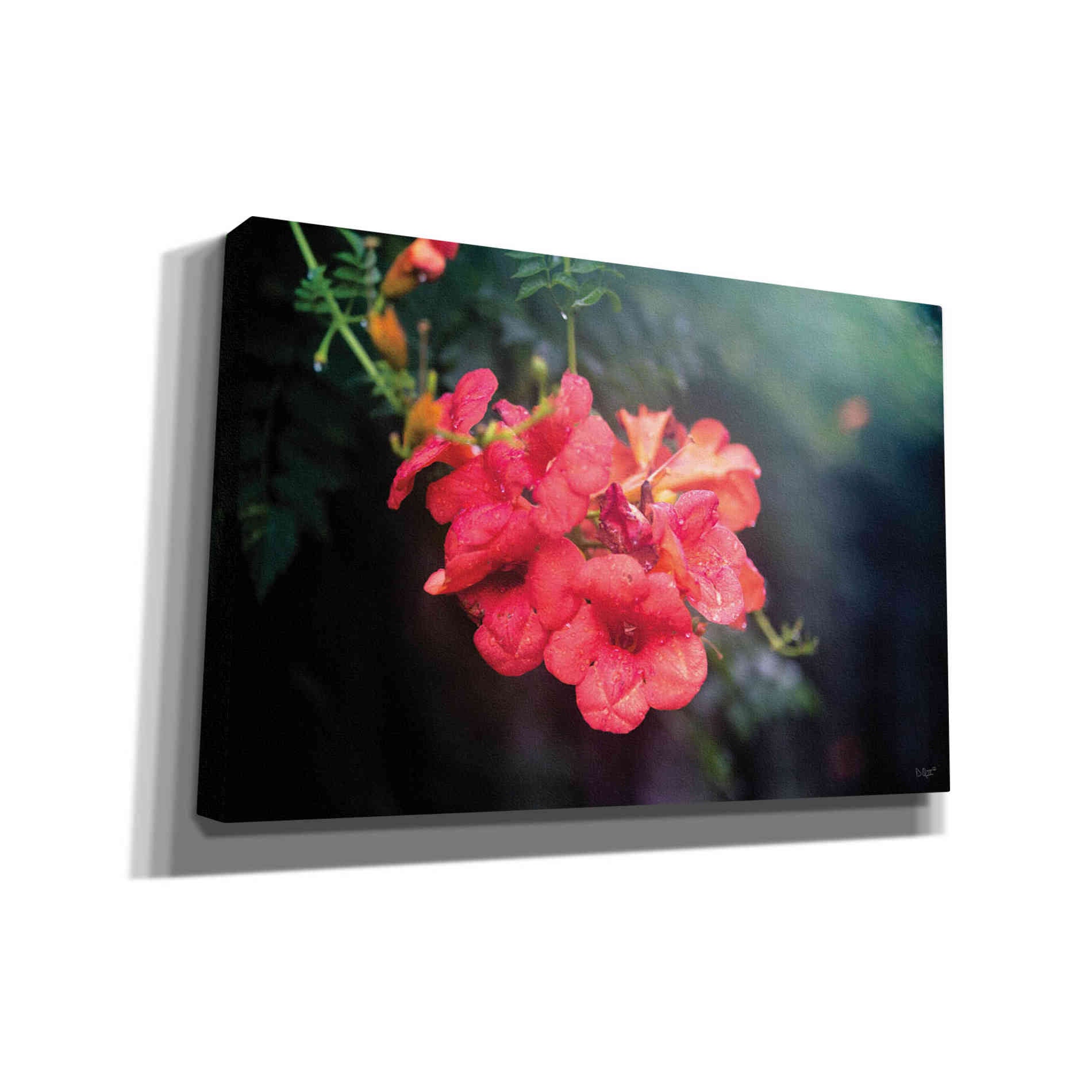 'Summer Rain' by Donnie Quillen, Canvas Wall Art