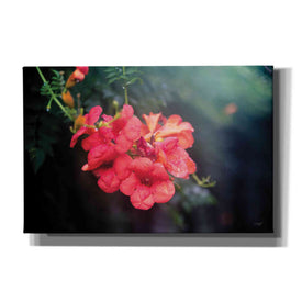 'Summer Rain' by Donnie Quillen, Canvas Wall Art