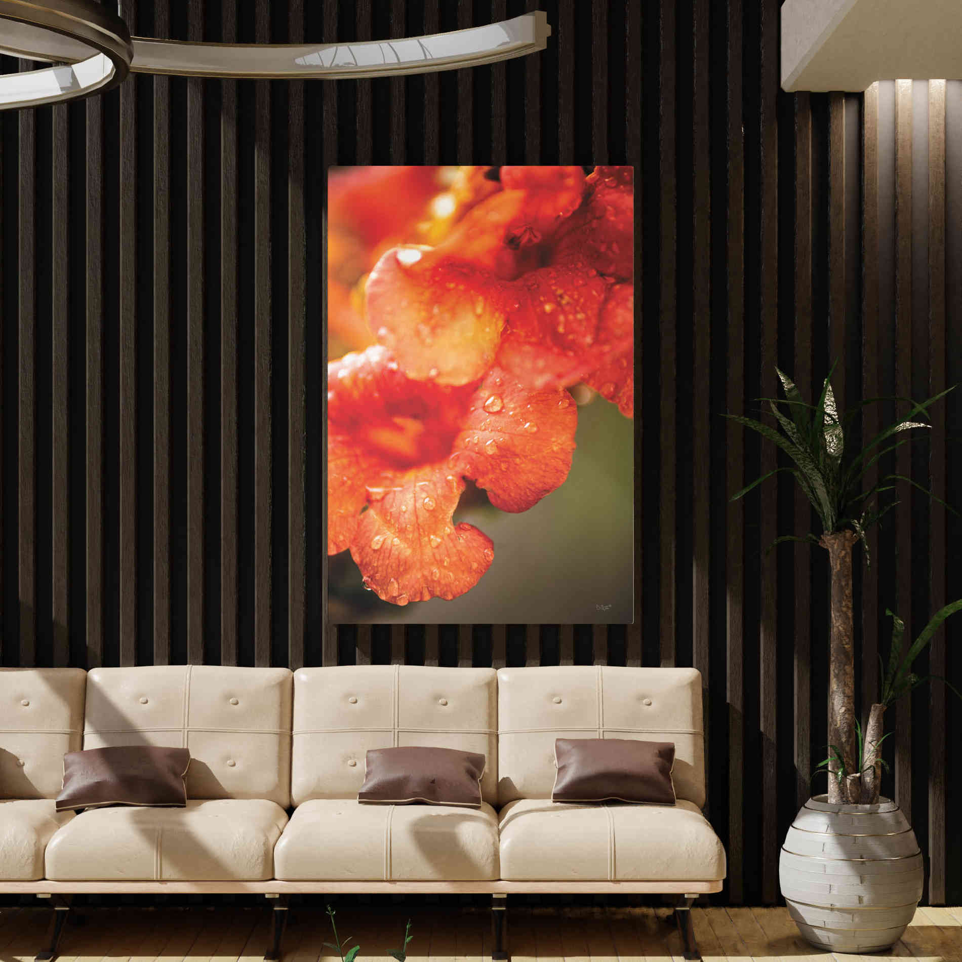 'Orange Glory' by Donnie Quillen, Canvas Wall Art,40 x 60