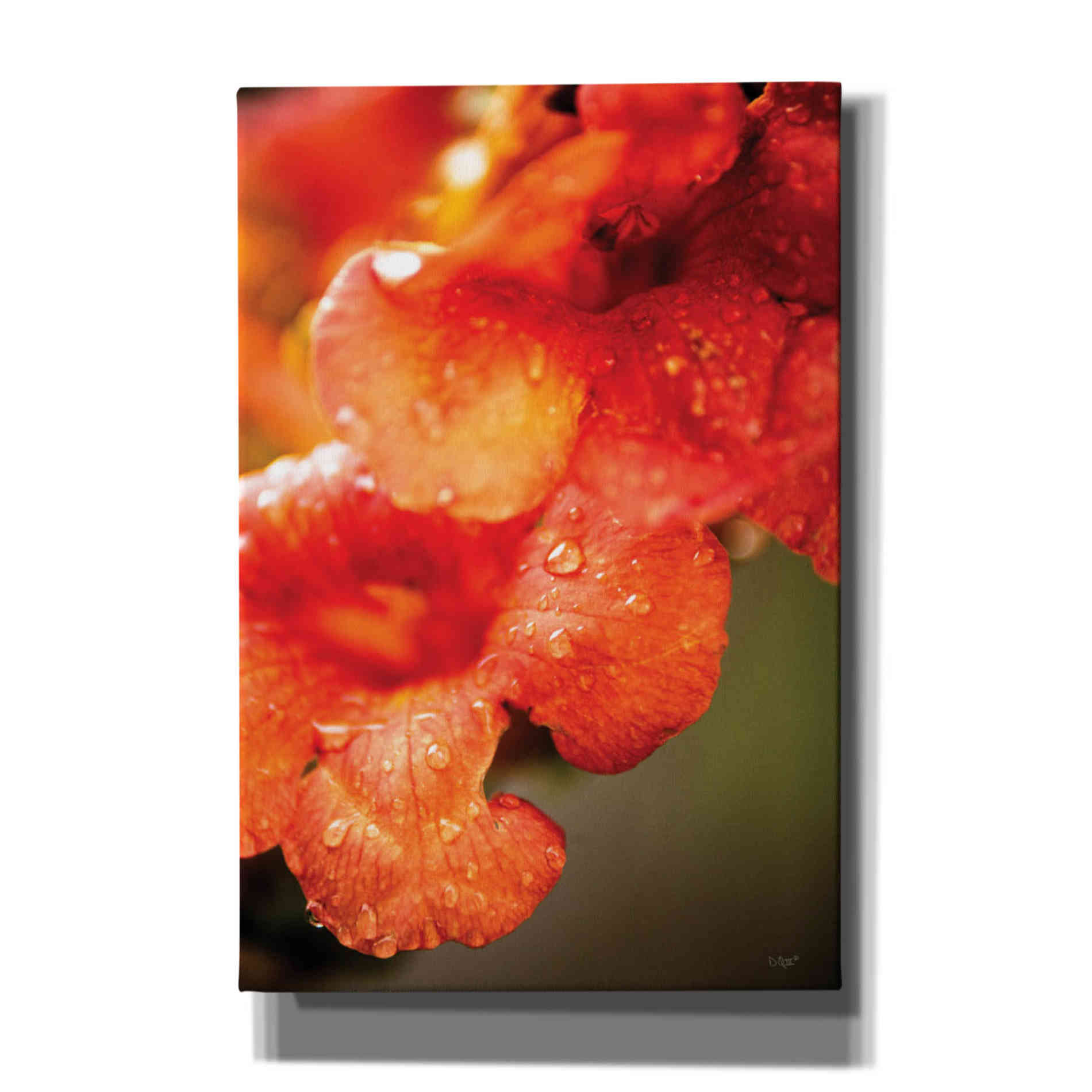 'Orange Glory' by Donnie Quillen, Canvas Wall Art