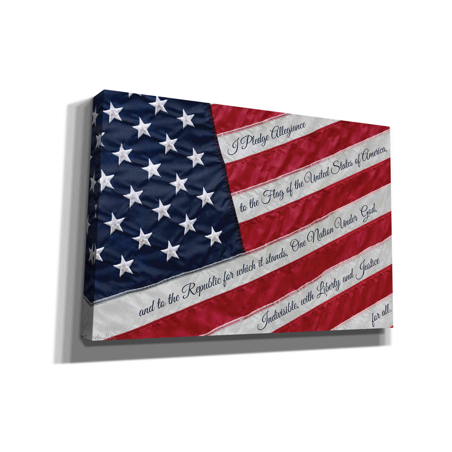 'I Pledge Allegiance II' by Lori Deiter, Canvas Wall Art