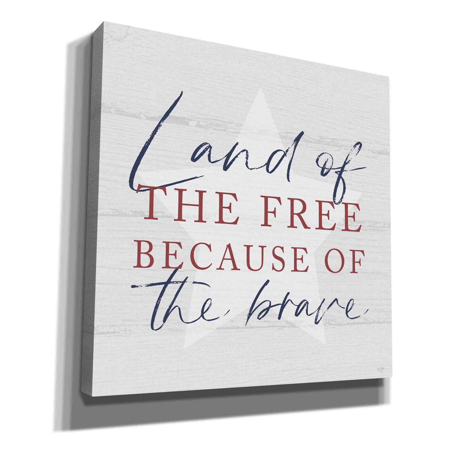 'Land of the Free' by Lux + Me, Canvas Wall Art