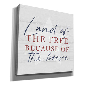 'Land of the Free' by Lux + Me, Canvas Wall Art