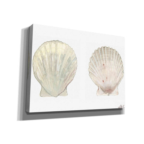 Image of 'Tidal Treasure IV' by Alicia Ludwig, Canvas Wall Art