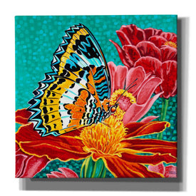'Poised Butterfly I' by Carolee Vitaletti, Canvas Wall Art