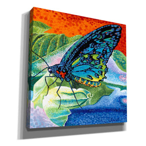 'Poised Butterfly II' by Carolee Vitaletti, Canvas Wall Art