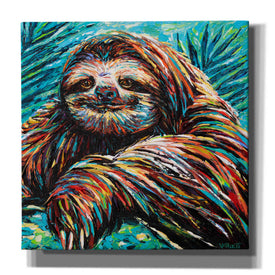 'Painted Sloth I' by Carolee Vitaletti, Canvas Wall Art