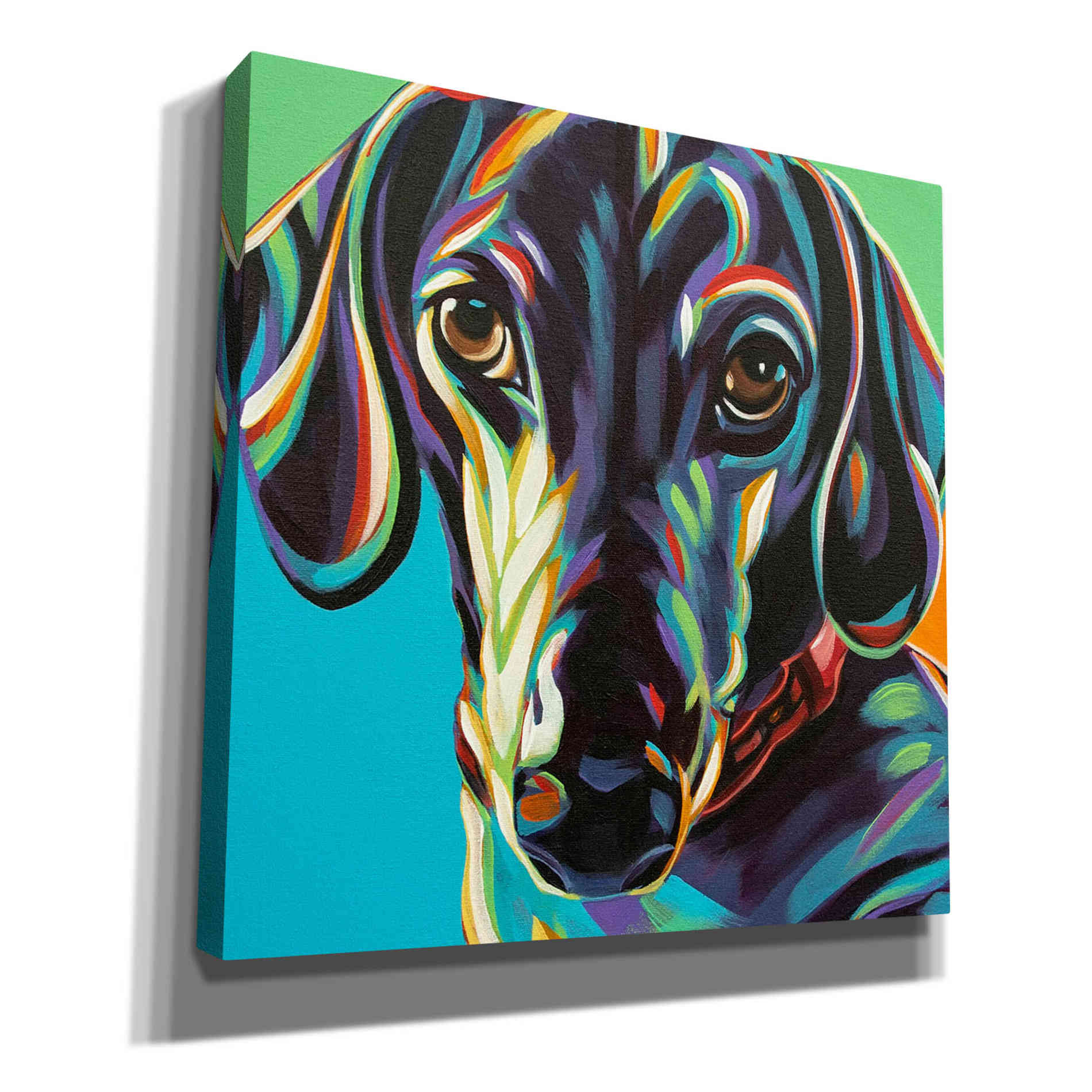 'Painted Dachshund I' by Carolee Vitaletti, Canvas Wall Art