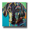 'Painted Dachshund I' by Carolee Vitaletti, Canvas Wall Art