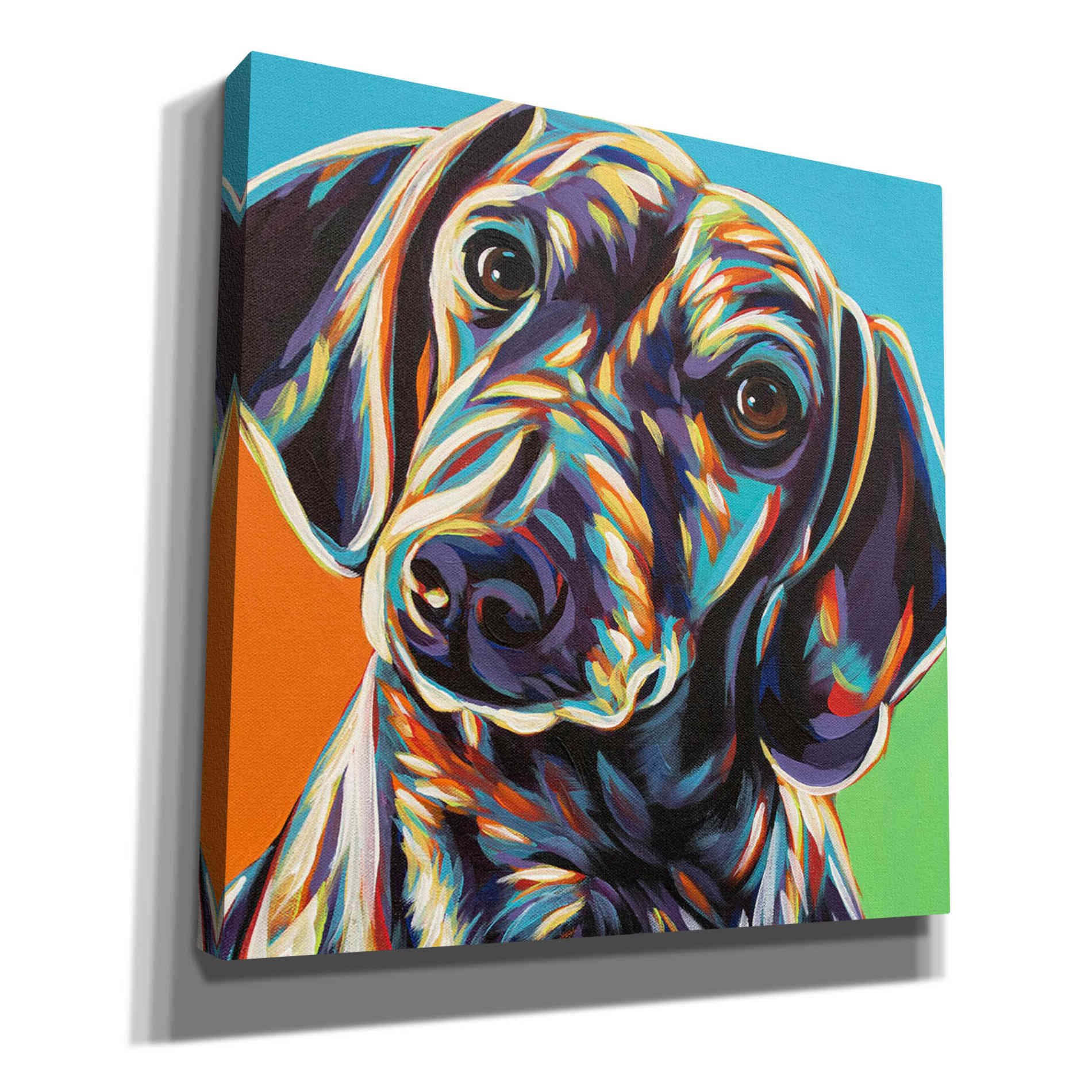 'Painted Dachshund II' by Carolee Vitaletti, Canvas Wall Art