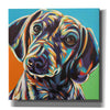 'Painted Dachshund II' by Carolee Vitaletti, Canvas Wall Art