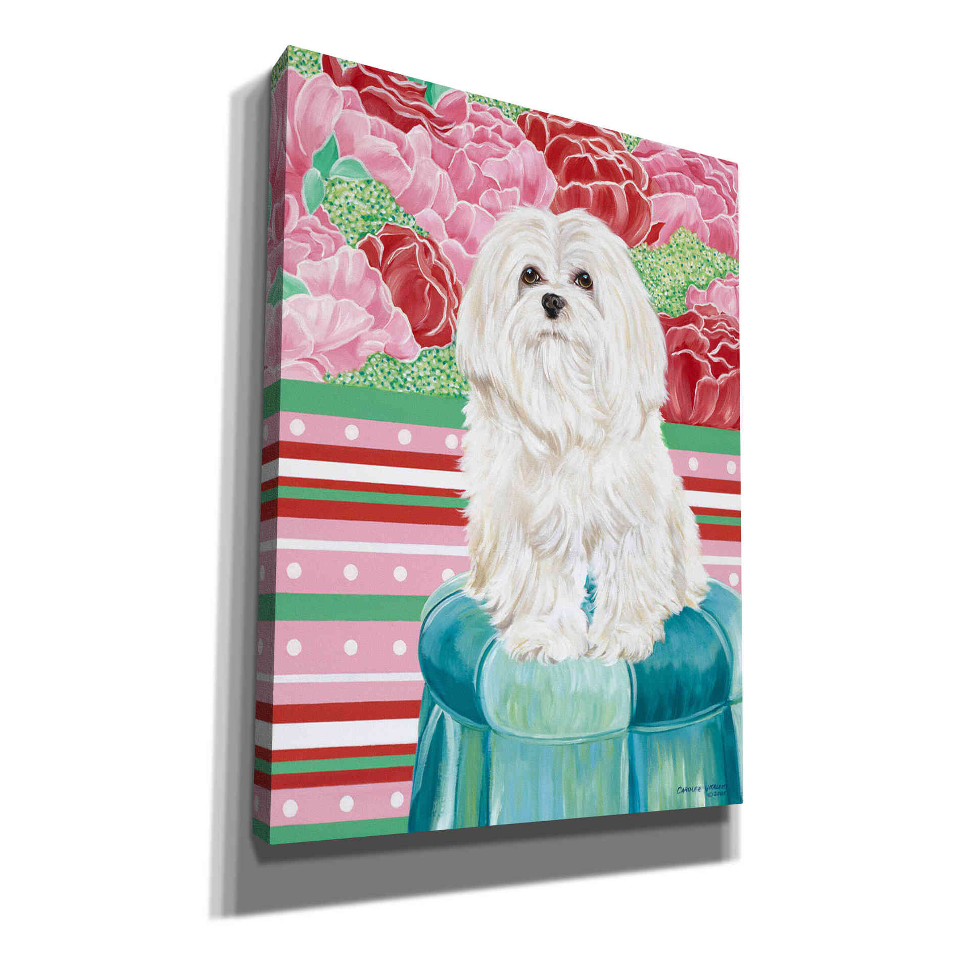 'Della Rose Maltese' by Carolee Vitaletti, Canvas Wall Art