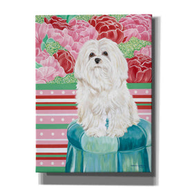 'Della Rose Maltese' by Carolee Vitaletti, Canvas Wall Art