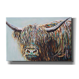 'Woolly Highland I' by Carolee Vitaletti, Canvas Wall Art