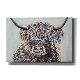 'Woolly Highland II' by Carolee Vitaletti, Canvas Wall Art