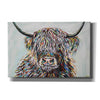 'Woolly Highland II' by Carolee Vitaletti, Canvas Wall Art