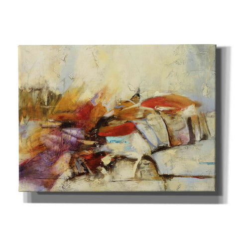 Image of 'Feteen I' by Gabriela Villarreal, Canvas Wall Art