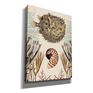 'Antiquarian Menagerie-Puffer Fish' by Naomi McCavitt, Canvas Wall Art
