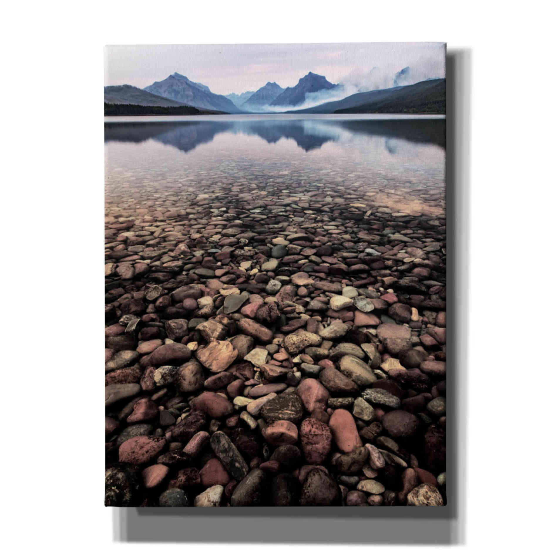 'Wild I' by PH Burchett, Canvas Wall Art