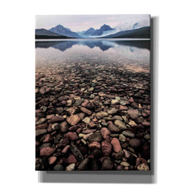 'Wild I' by PH Burchett, Canvas Wall Art