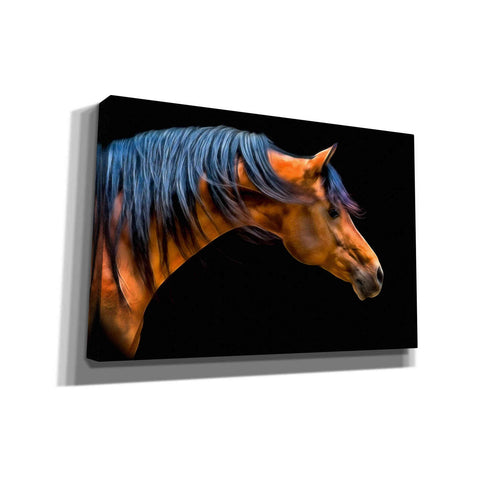 Image of 'Wind Swept' by PH Burchett, Canvas Wall Art