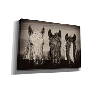 'Three Amigos I' by PH Burchett, Canvas Wall Art